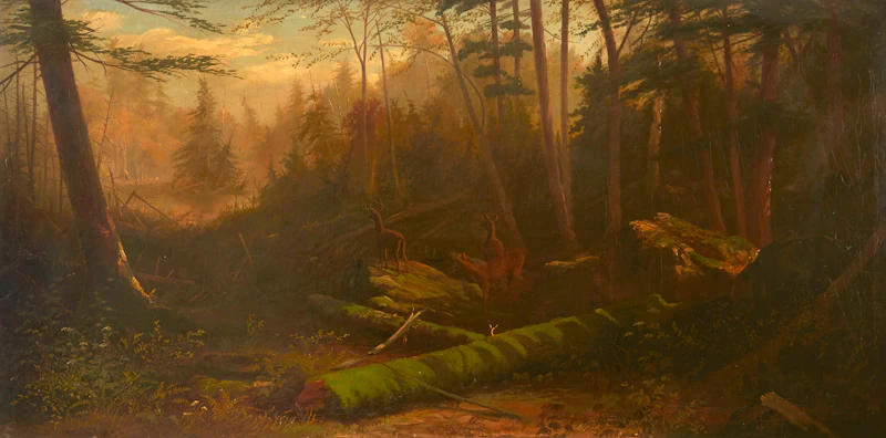 19th Century Canadian School, Forest Interior Landscape, oil on canvas - view 2