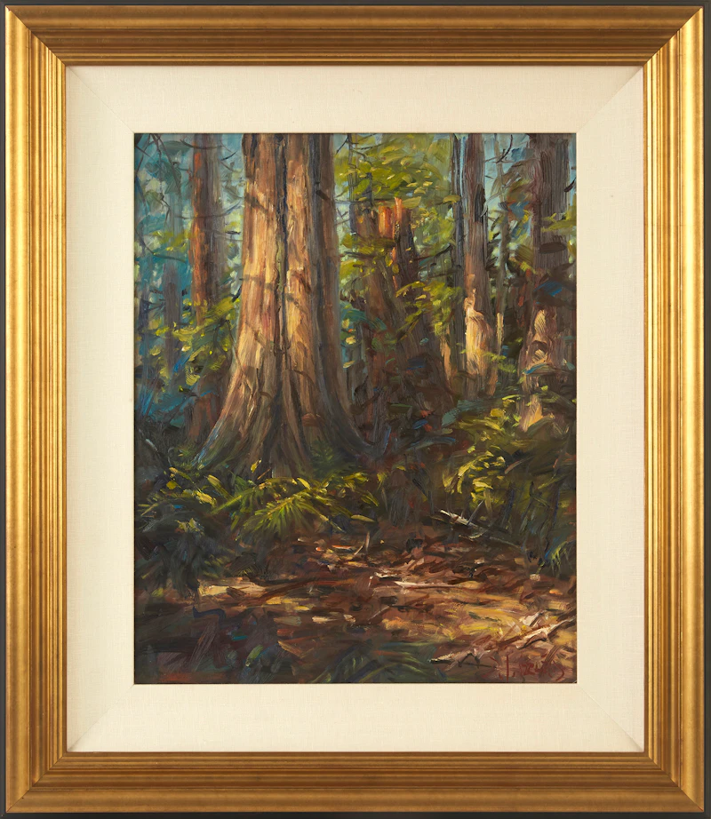 Daniel J. Izzard, Sun Patches, Stanley Park, Vancouver B.C.