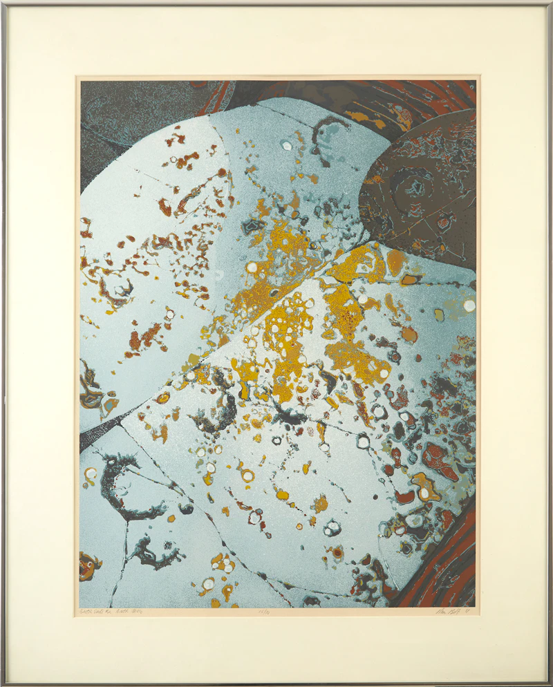 Ronald William Bolt, Arctic Micro (Arctic Suite #2)