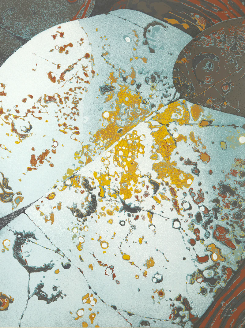 Ronald William Bolt, Arctic Micro (Arctic Suite #2), colour serigraph, 1981 - view 2