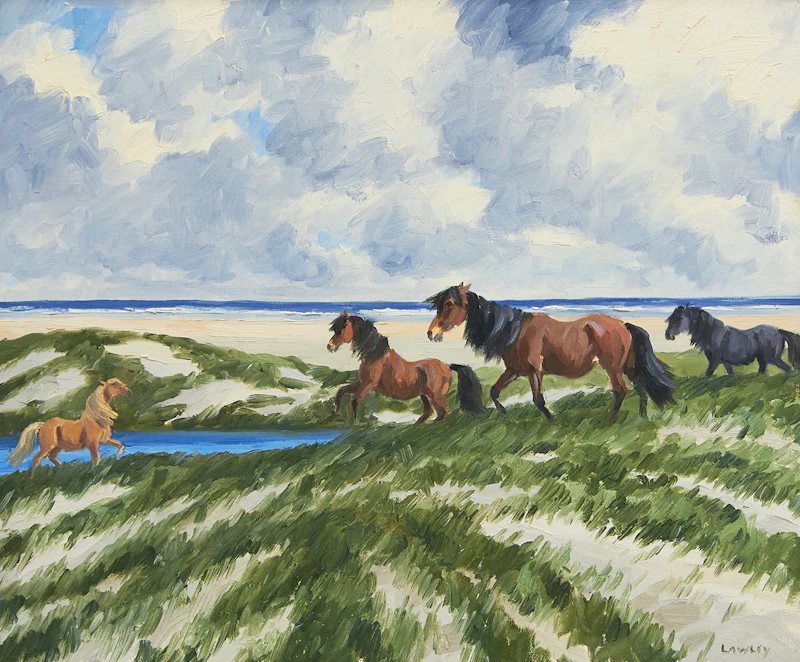 John Douglas Lawley, Ponies of the Sable Island