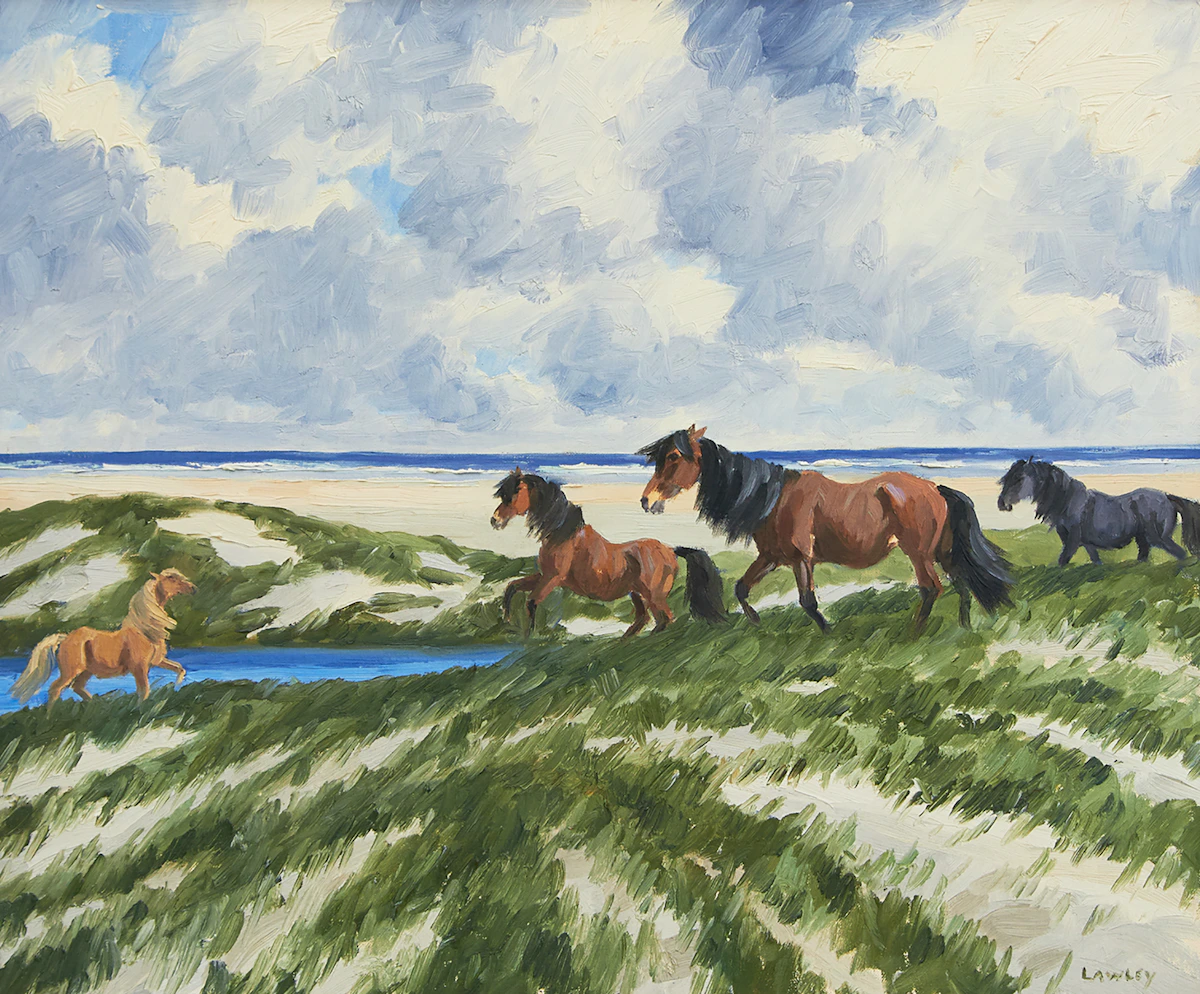 John Douglas Lawley, Ponies of the Sable Island, oil on canvas board