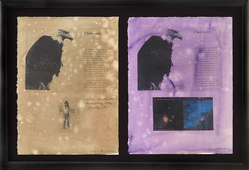 Carl Beam, Two Bald Eagles, a pair of mixed media on paper works - view 2