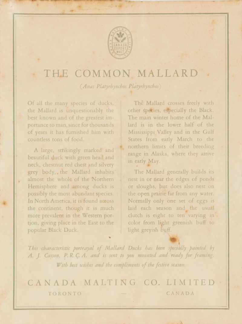 Alfred Joseph Casson, The Common Mallard, colour silkscreen - view 2