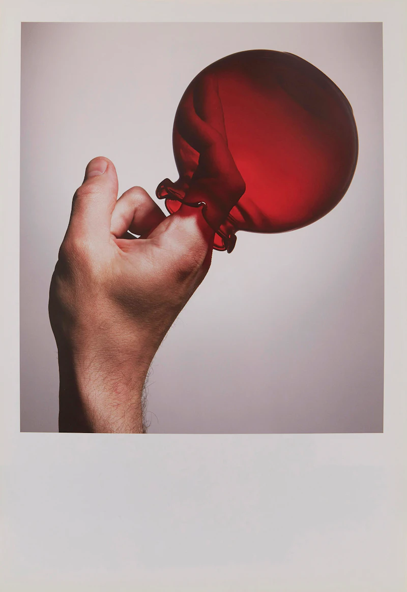 David Altmejd Stephen Andrews Chris Curreri Andy Fabo Brendan Fernandes David Grenier John Greyson Luis Jacob Peter Kingstone Bruce Labruce Micah Lexier John McLachlin Will Munro Ed Pien Daryl Vocat, Circle Jerk (2009 Portfolio), fifteen photo offset lithographs, 2009 - view 6