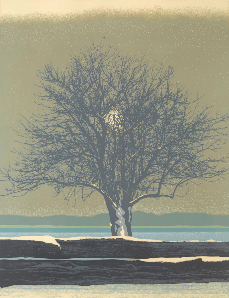 Ronald William Bolt, Winter Apples, colour serigraph, 1980 - view 2