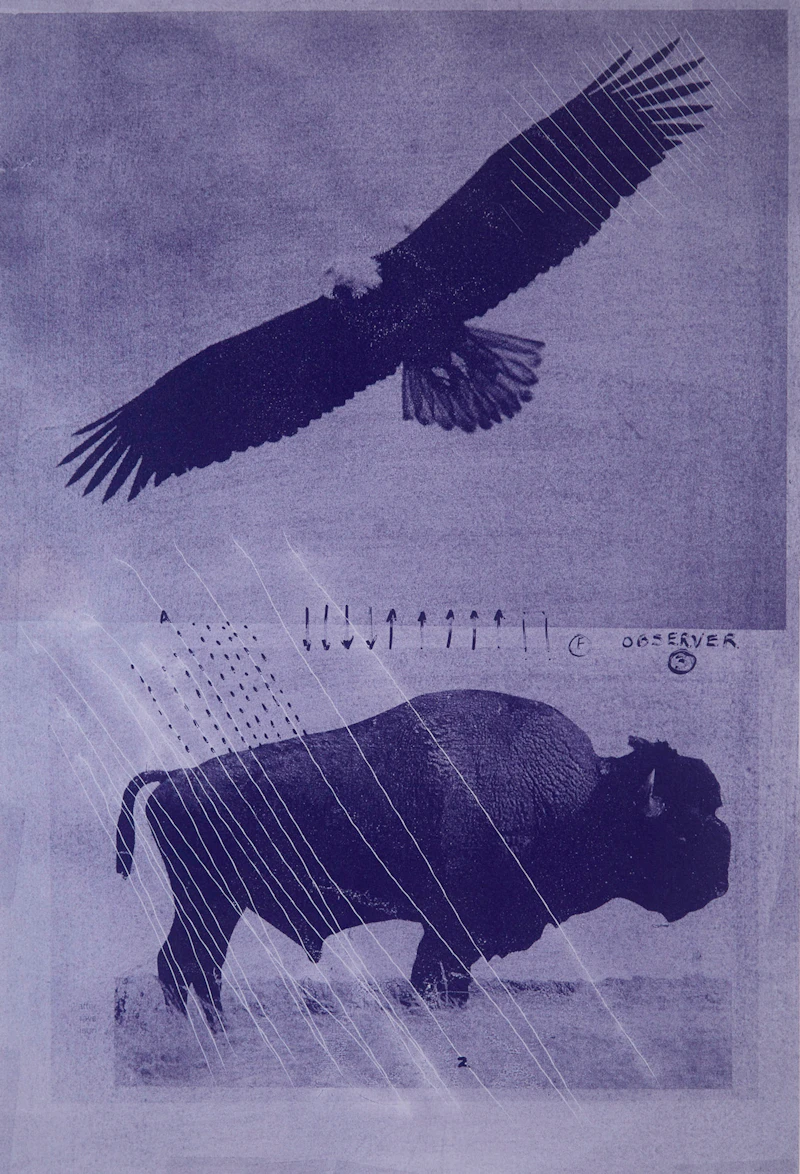 Carl Beam, Observer 3, colour screenprint - view 2
