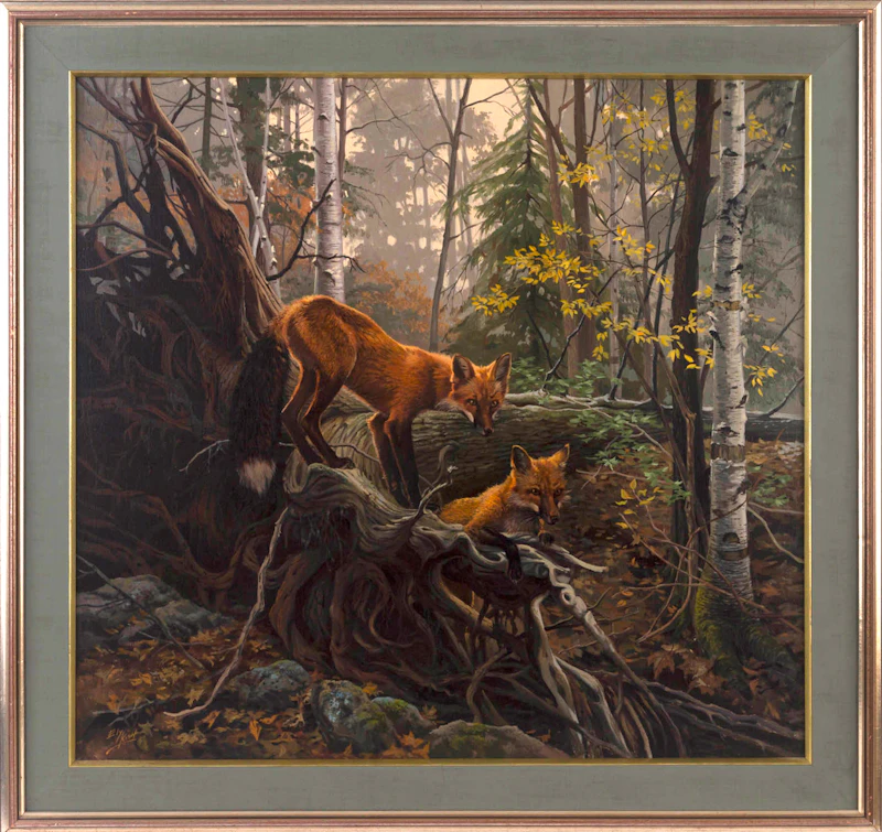 Forest Play by Ely Kish