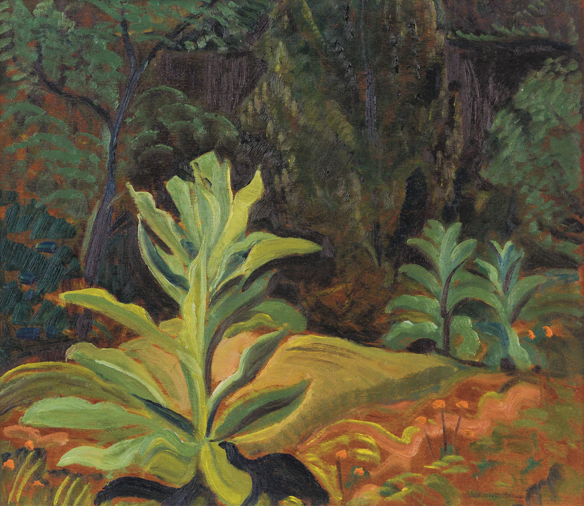 Anne Douglas Savage, Mullein, oil on board
