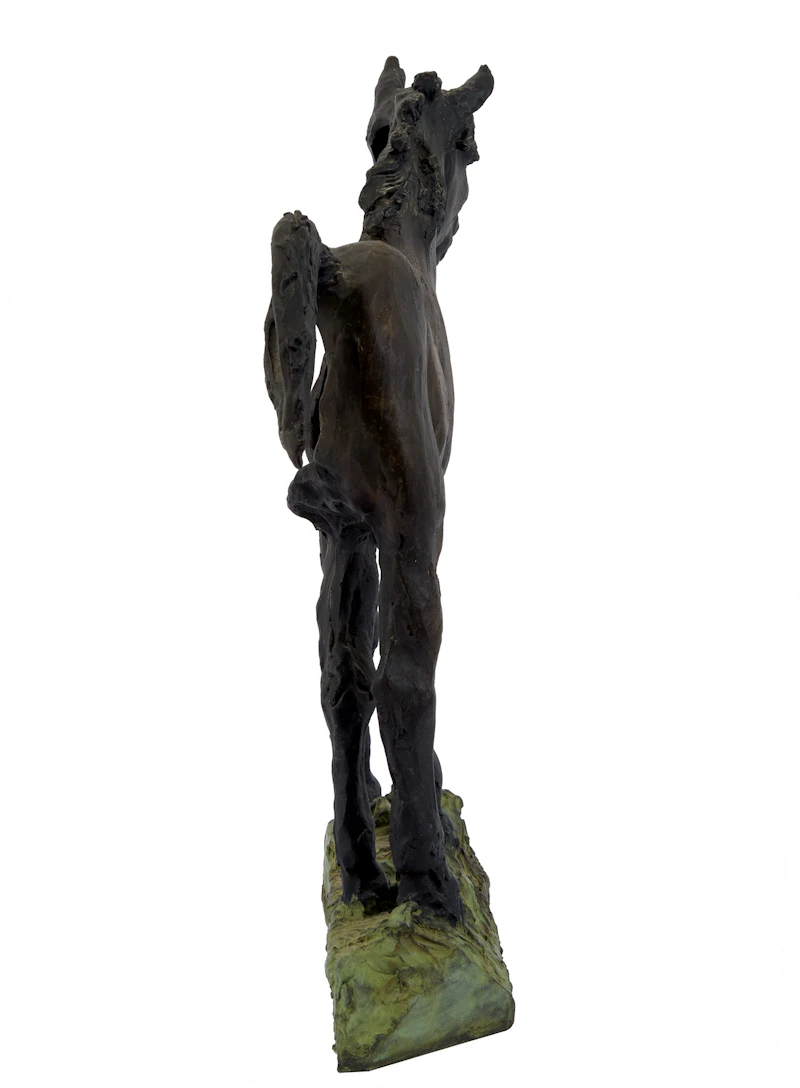 Joe Fafard, Cold Lake #7, chemical patina on bronze, 1999 - view 5