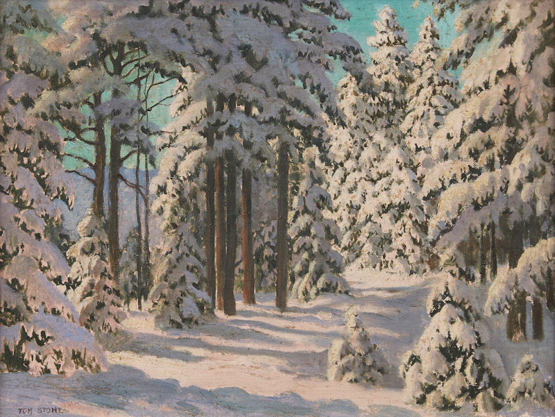 Snow Laden Pine by Thomas Albert Stone
