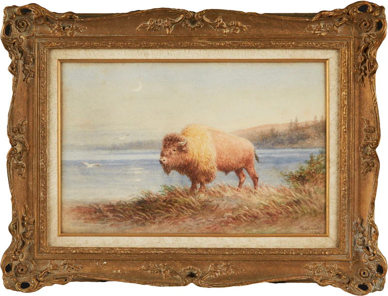 Frederick Arthur Verner, Bison by the Water’s Edge, watercolour, 1925 - view 2