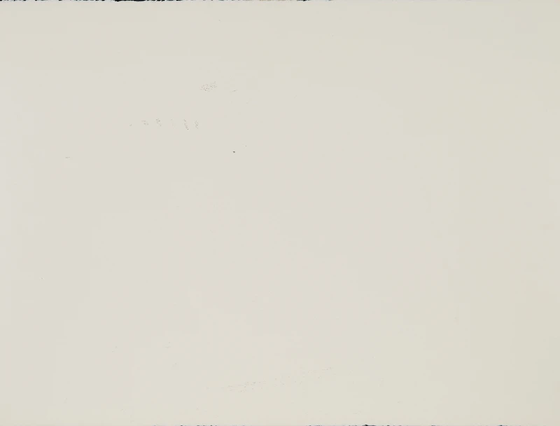 Iain Baxter&, Mindful Landscape, monoprint, 1999 - view 2