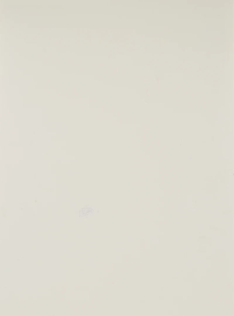 Carl Beam, Untitled, mixed media print on paper - view 2