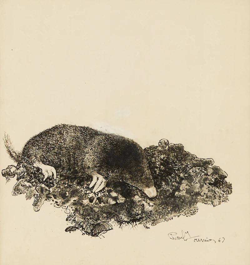 Richard Ferrier, Mole Burrowing