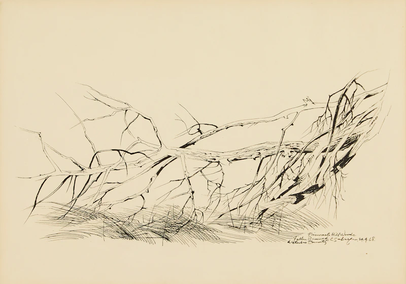 Fallen Branch, Pinnacle Hill Woods by Carl Fellman Schaefer