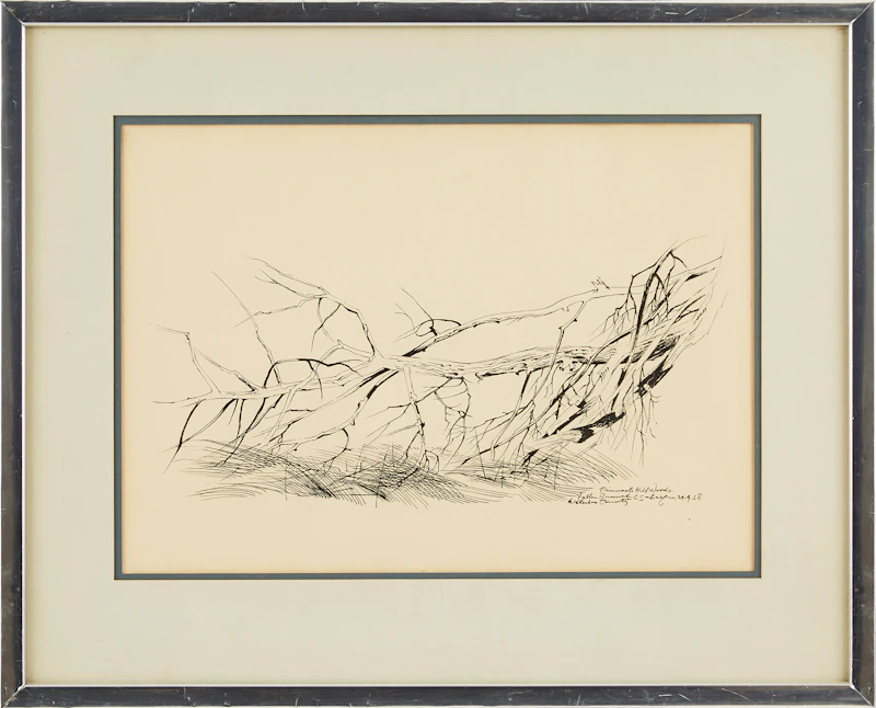 Carl Fellman Schaefer, Fallen Branch, Pinnacle Hill Woods, ink on paper - view 2