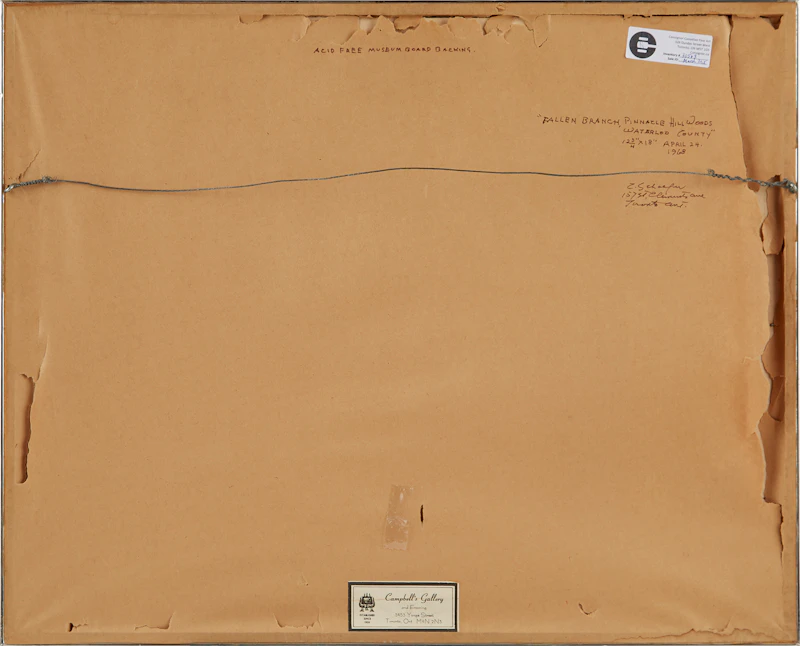 Carl Fellman Schaefer, Fallen Branch, Pinnacle Hill Woods, ink on paper - view 3