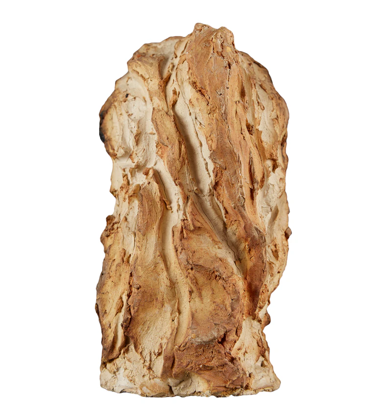 Unknown 20th Century Artist, Head, plaster sculpture - view 4
