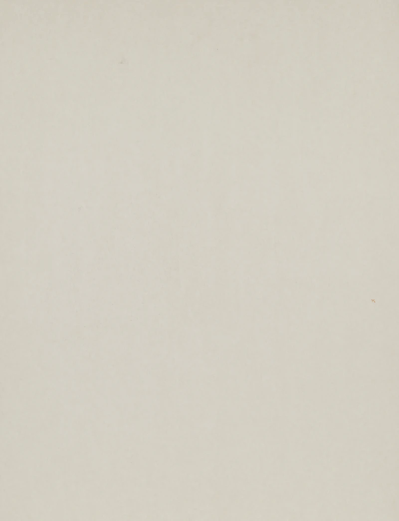 Louis Muhlstock, Portrait, mixed media on paper - view 3