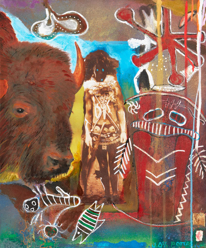 Buffalo Spirit by Jane Ash Poitras