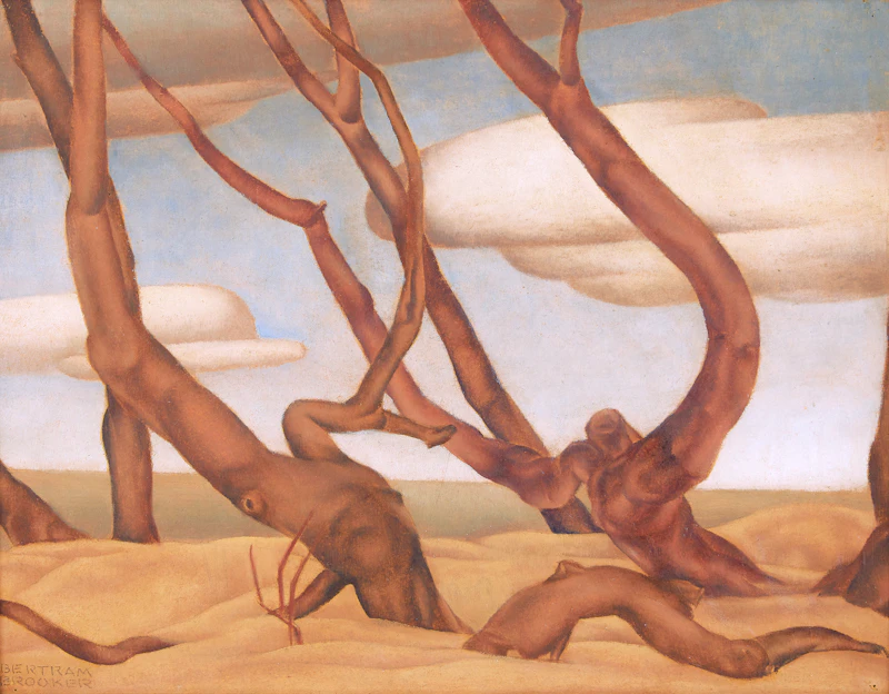 Tree Trunks by Bertram Richard Brooker
