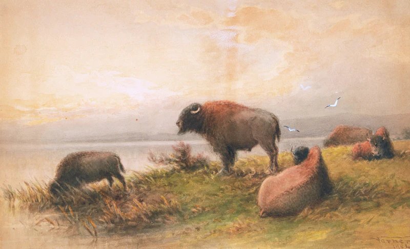 Bison - Evening by Frederick Arthur Verner