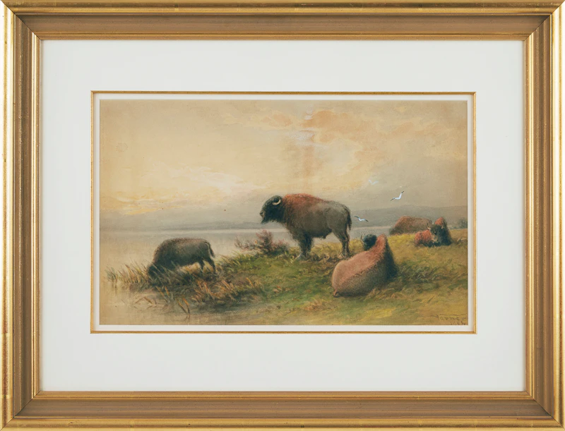 Frederick Arthur Verner, Bison - Evening, watercolour, 1901 - view 2