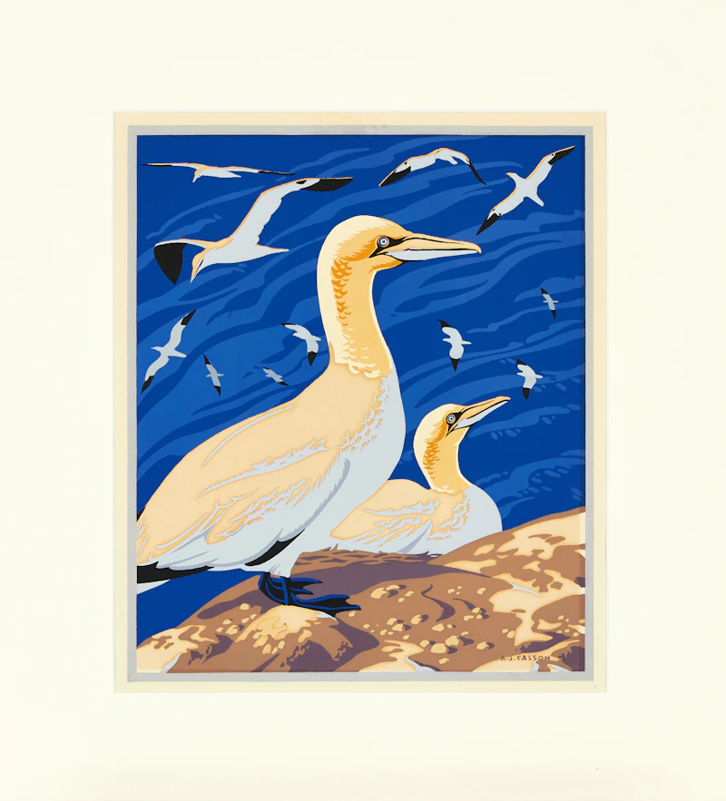 Alfred Joseph Casson, The Solan Goose or Gannet, colour silkscreen - view 2