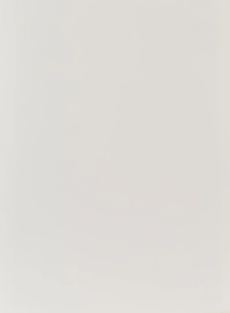Carl Beam, Flux, colour silkscreen - view 3
