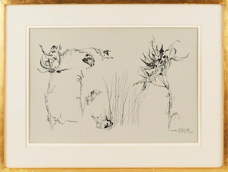 Carl Fellman Schaefer, Milk Weed After Winter, Waterloo County, ink on paper, 1967 - view 2