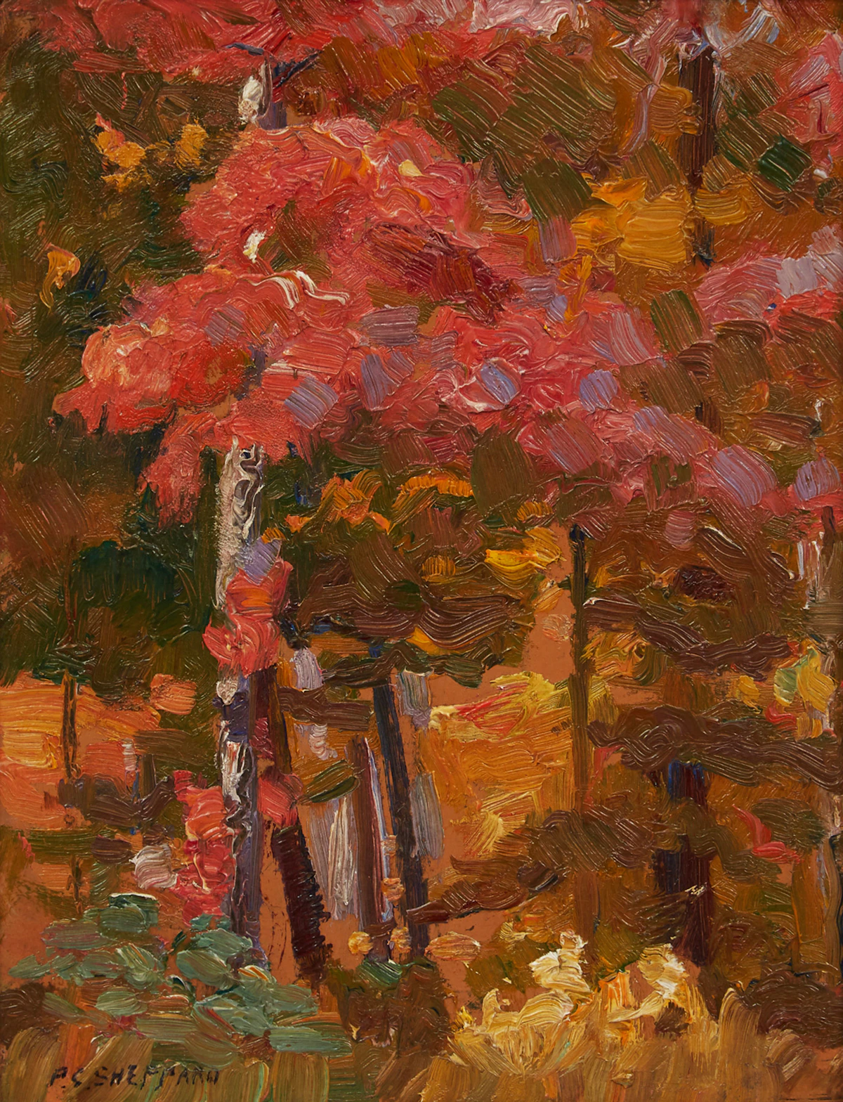 Peter Clapham Sheppard, Forest Interior, oil on board
