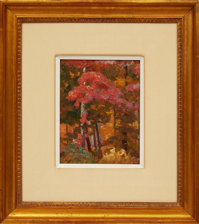 Peter Clapham Sheppard, Forest Interior, oil on board - view 2