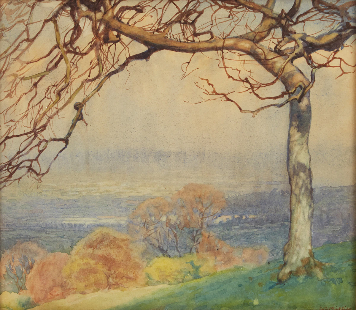 Walter Joseph Phillips, Tree Landscape, watercolour