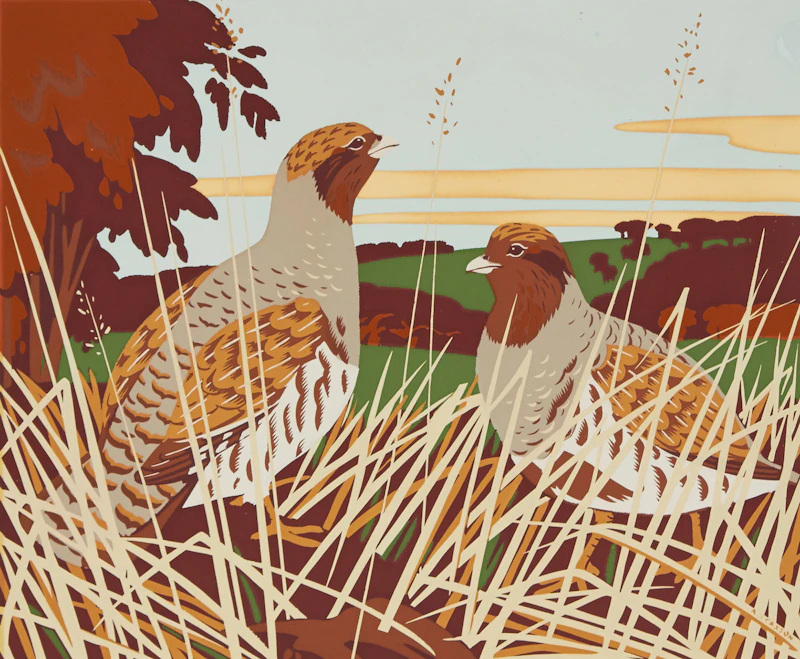 Alfred Joseph Casson, European Partridge