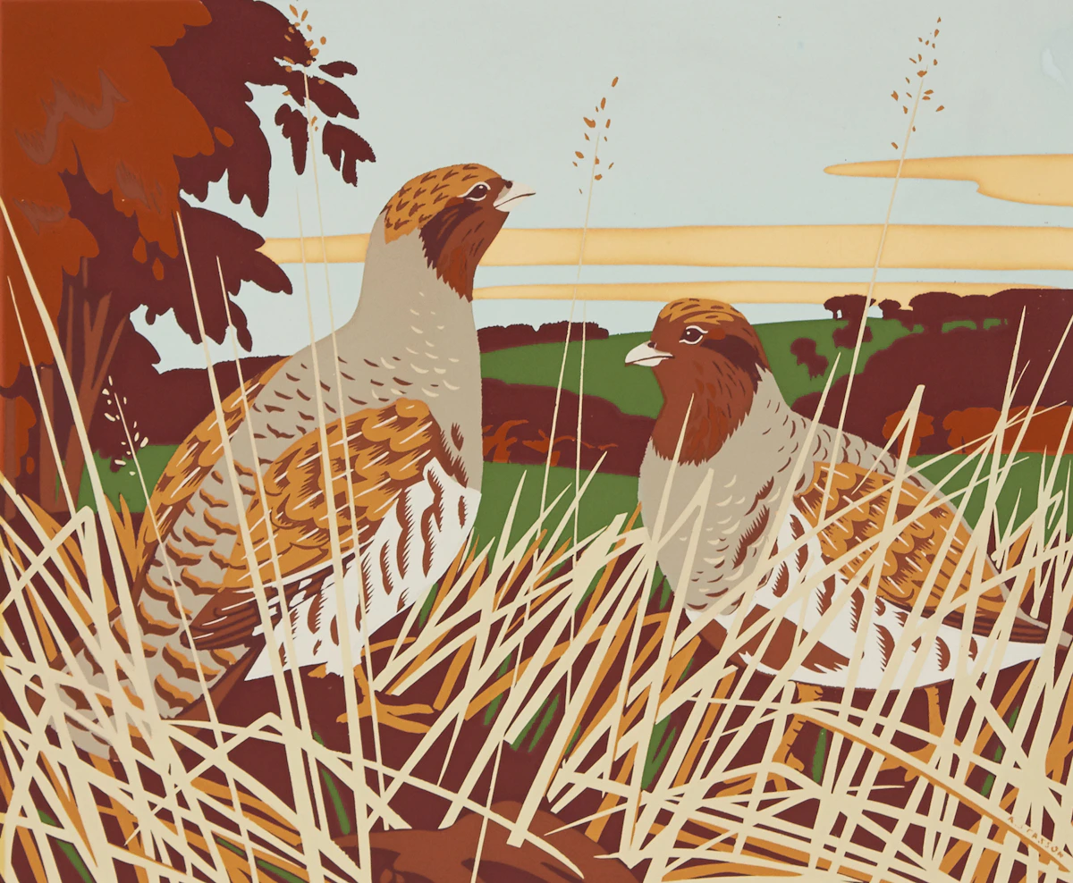 Alfred Joseph Casson, European Partridge, colour silkscreen