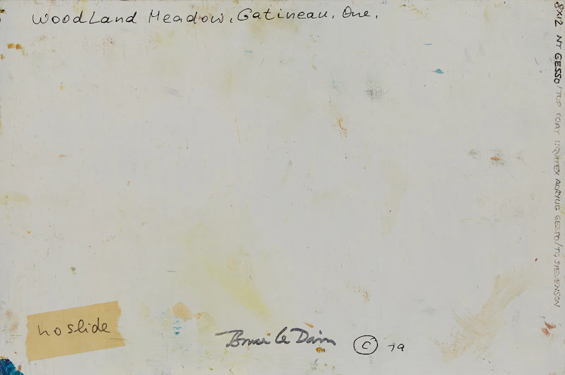 Bruce Le Dain, Woodland Meadow, Gatineau, Que., oil on panel - view 2