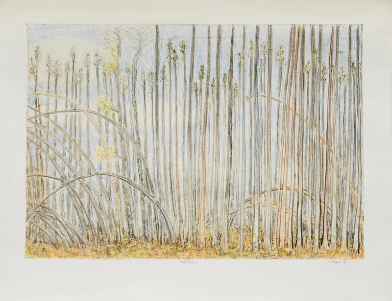 Arnold Shives, Orbit of Fall; Tall Pines I, pair of prints - view 4