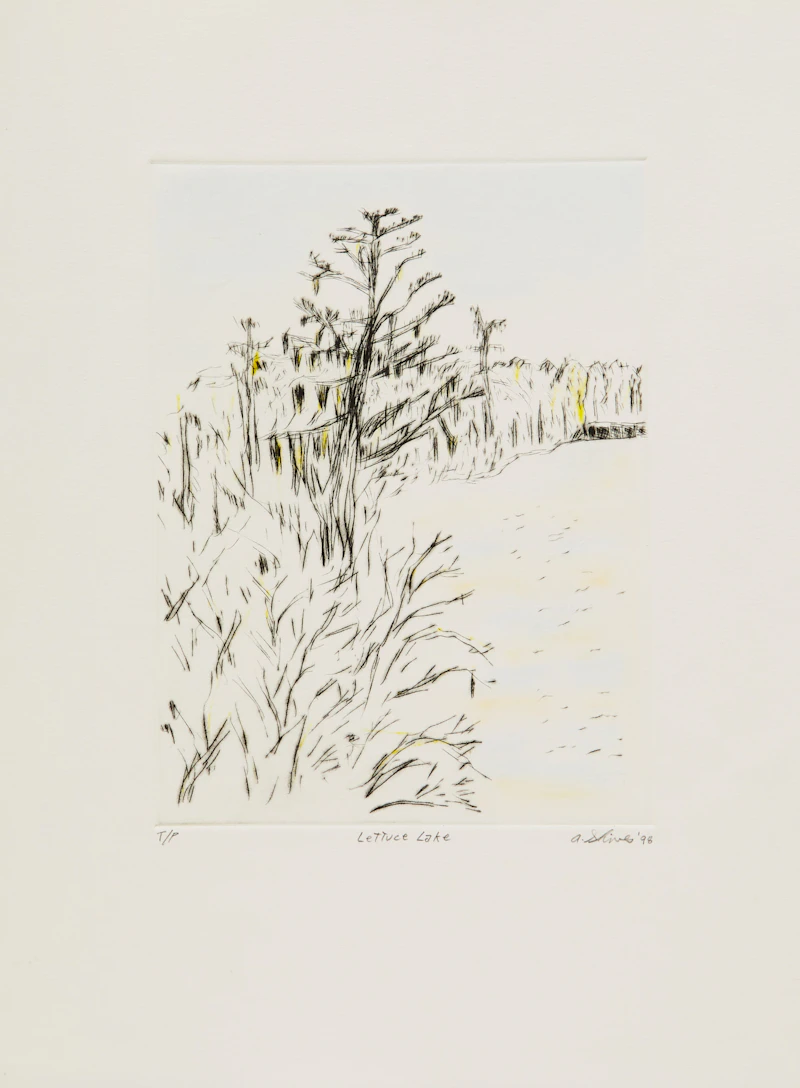 Arnold Shives, Lettuce Lake; Ribbon Plant, pair of prints - view 2