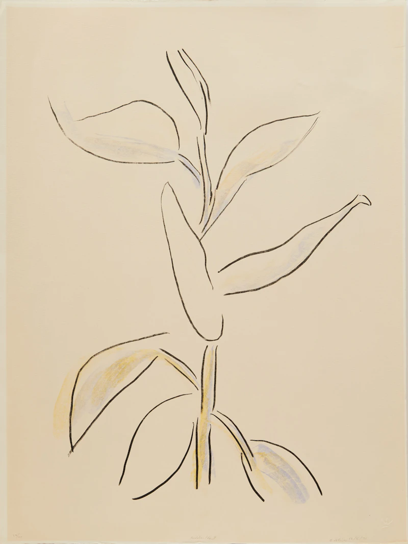 Arnold Shives, Lettuce Lake; Ribbon Plant, pair of prints - view 3