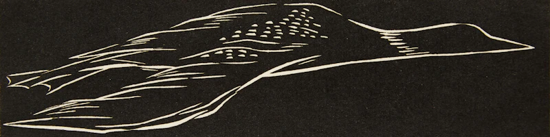 Barbara Howard, Loon in Flight