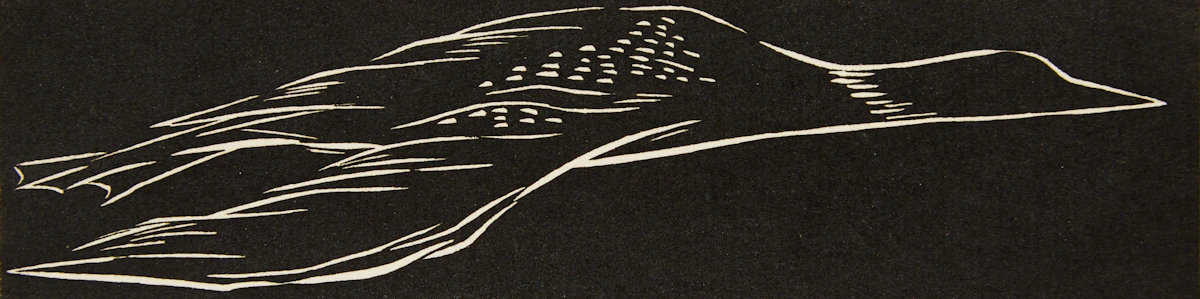 Barbara Howard, Loon in Flight, woodblock print