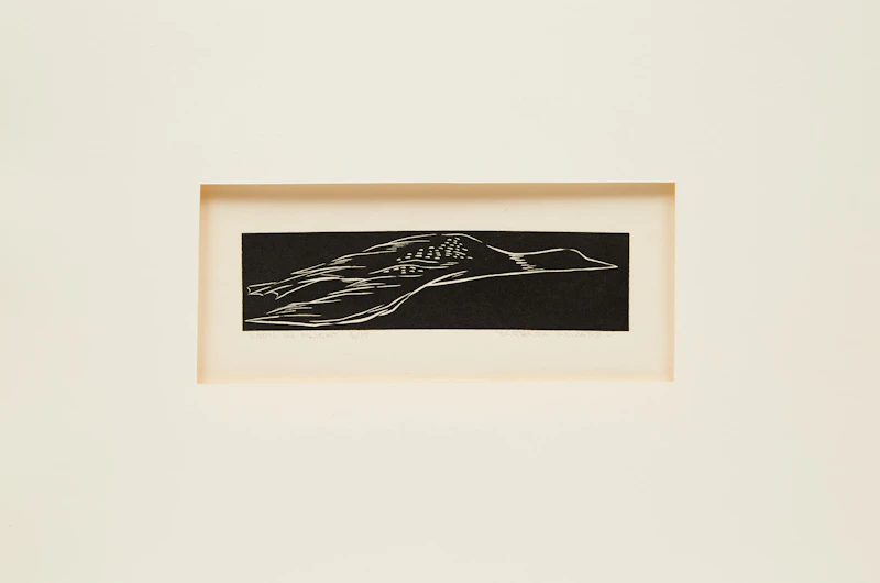 Barbara Howard, Loon in Flight, woodblock print - view 2