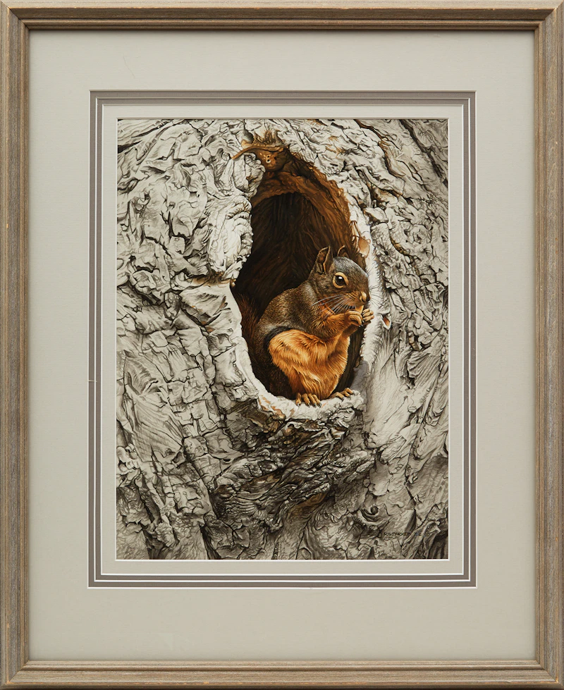 Ronald Parker, Douglas Squirrel, watercolour on illustration board, 1982 - view 2