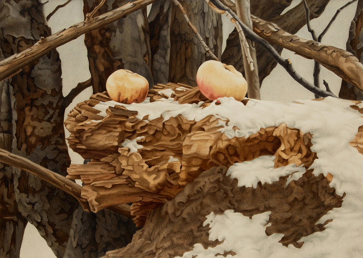 Daniel Price Erichsen Brown, Water Apples, coloured ink on ragboard, 1981