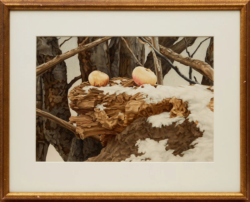 Daniel Price Erichsen Brown, Water Apples, coloured ink on ragboard, 1981 - view 2