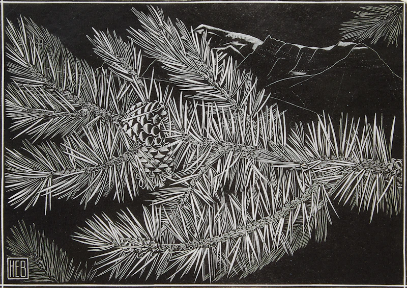 Pinecones by Henry Eric Bergman