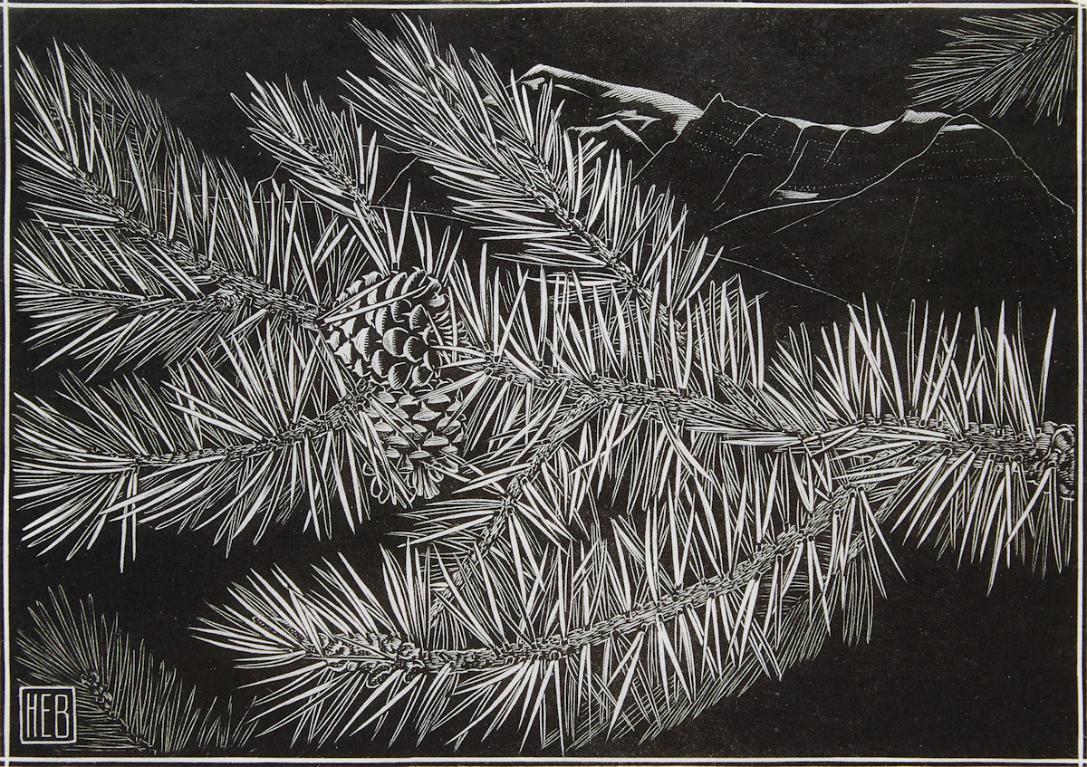 Henry Eric Bergman, Pinecones, blockprint