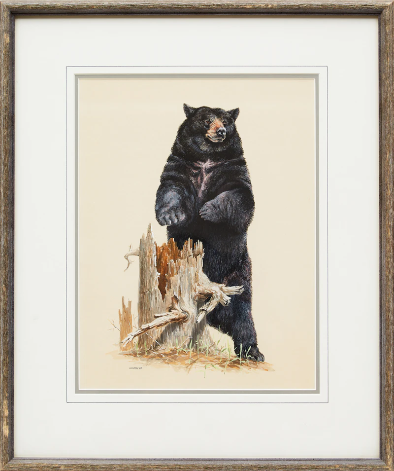 James Richard Lumbers, Black Bear, egg tempera, 1969 - view 2