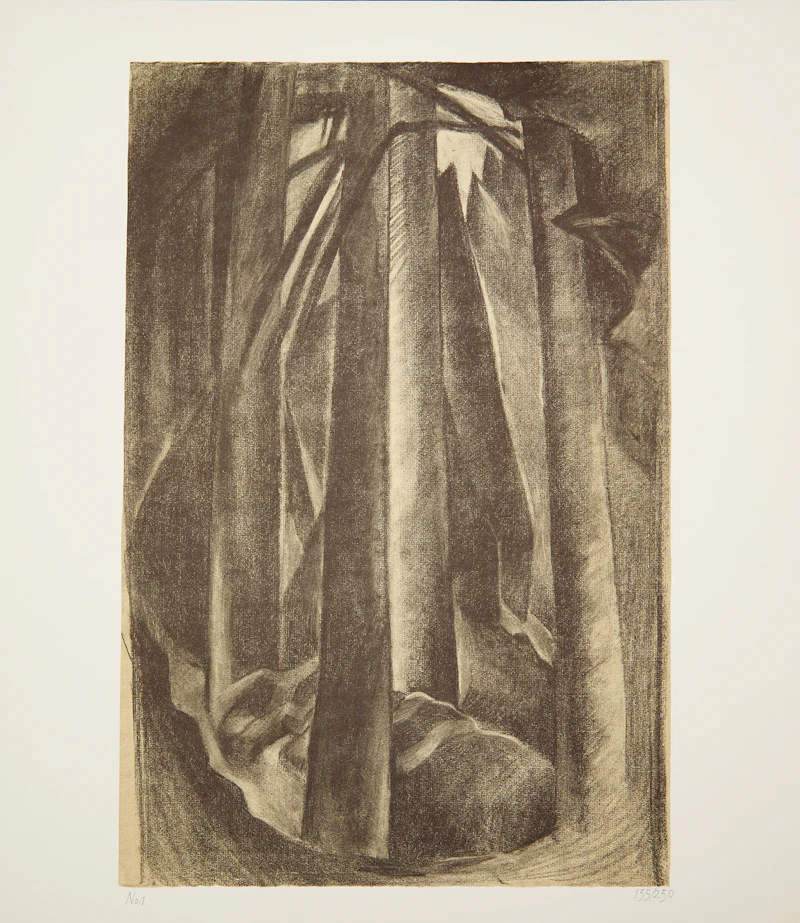 Books and Reference, The Art of Emily Carr, book and six reproduction prints, 1980 - view 6
